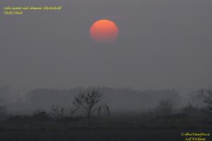 solnedgang_over_jordbrukslandskapet_oland1.jpg